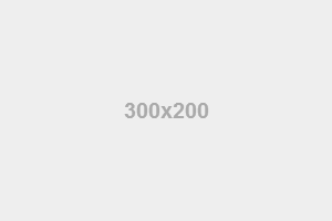 images/helix/gallery/300x200.png